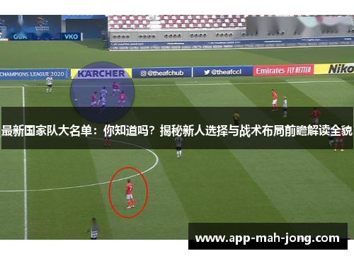 最新国家队大名单：你知道吗？揭秘新人选择与战术布局前瞻解读全貌